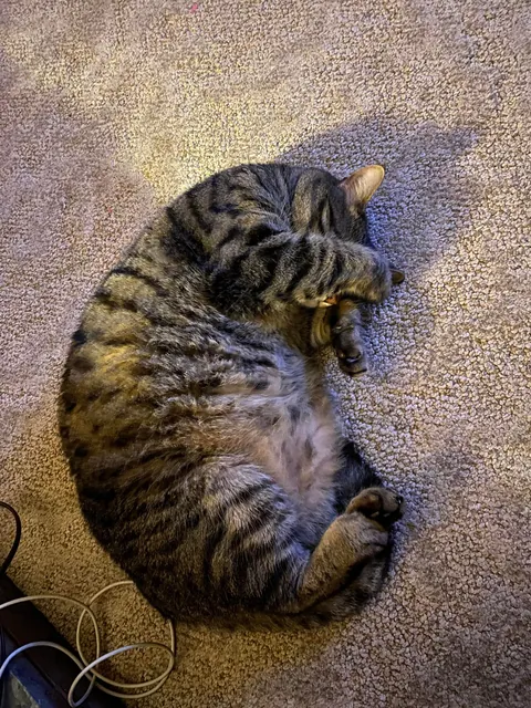 Said goodbye to my eyeless boy