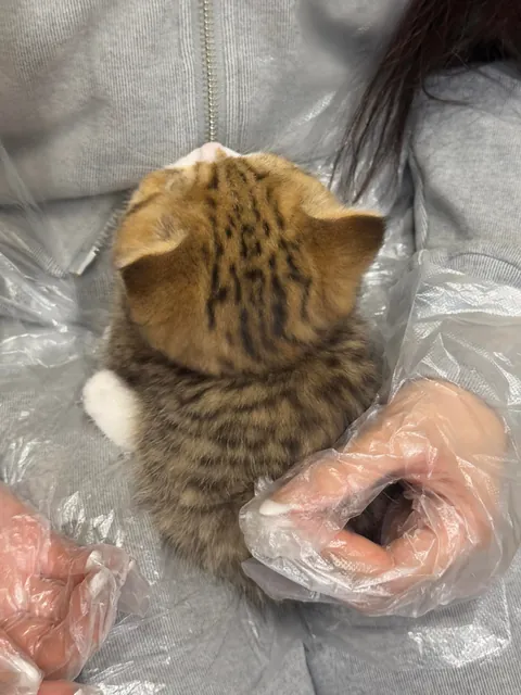 I was not prepared for this level of cute