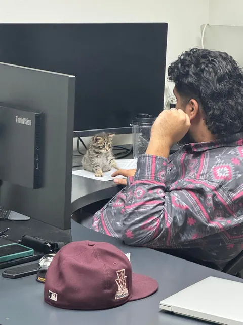 His name is Wilfred and he just stole my entire family’s hearts