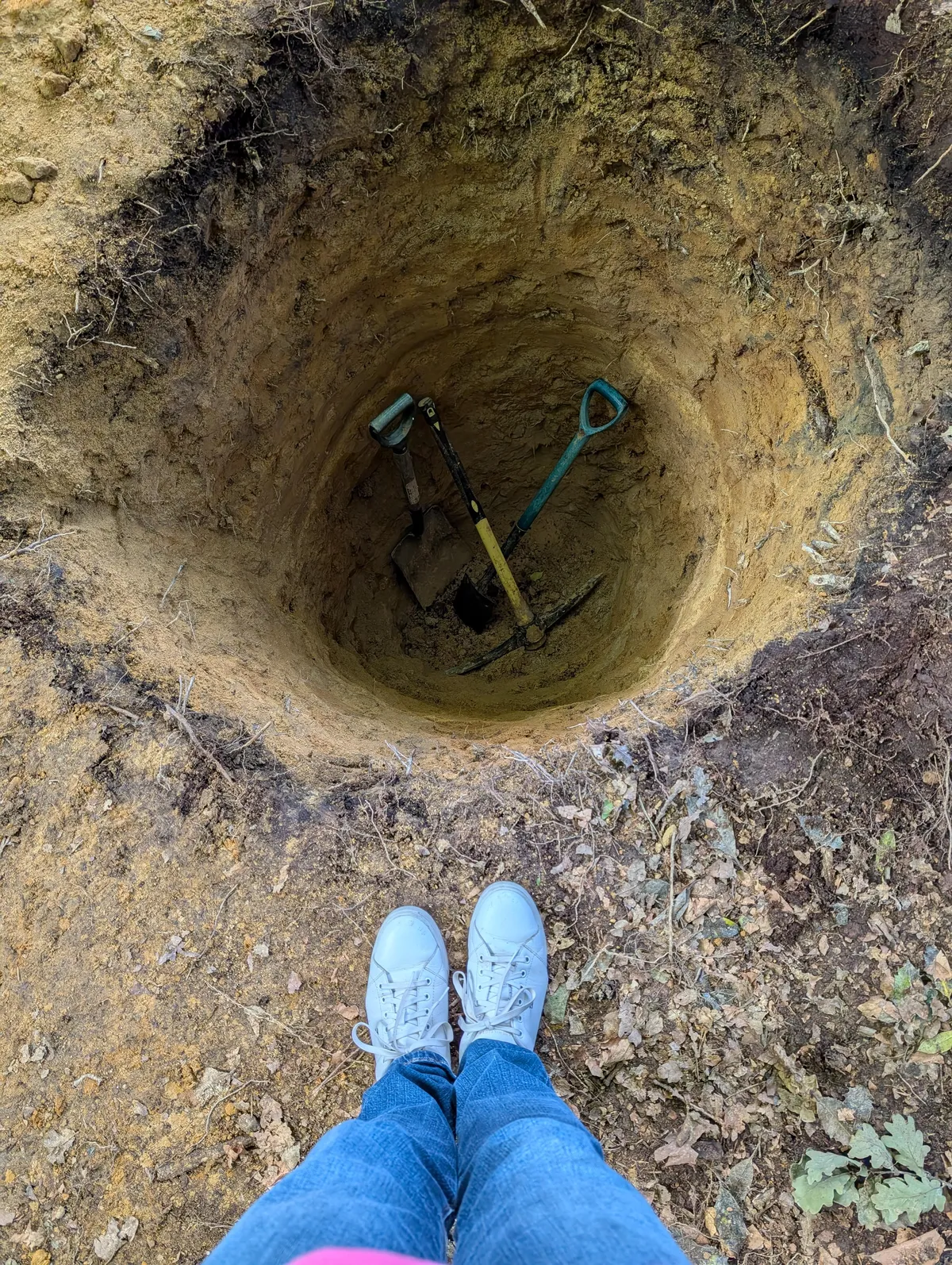 Large hole dug in the Garden update