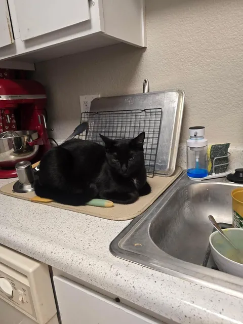 Why did he do this 😭😭