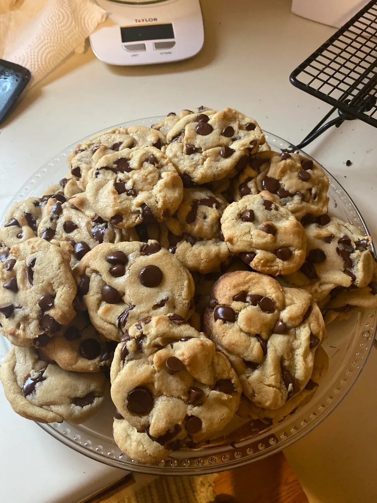 These might just be my masterpiece (homemade chocolate chip cookies)
