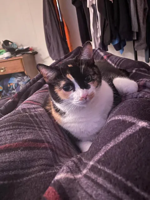 Saying goodbye to my best friend this evening