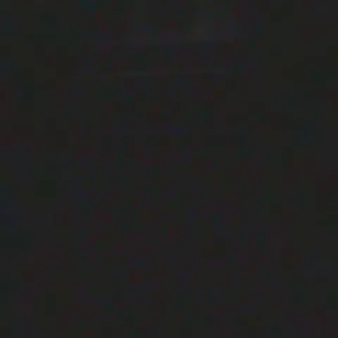 Uninvited guest (@Bloney_)