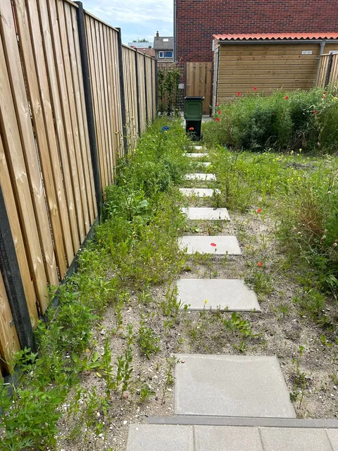 Our garden path transformation! Before &amp; after