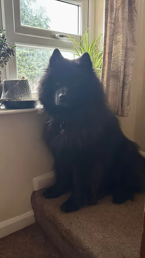 Five whole years of Maximum Mayhem