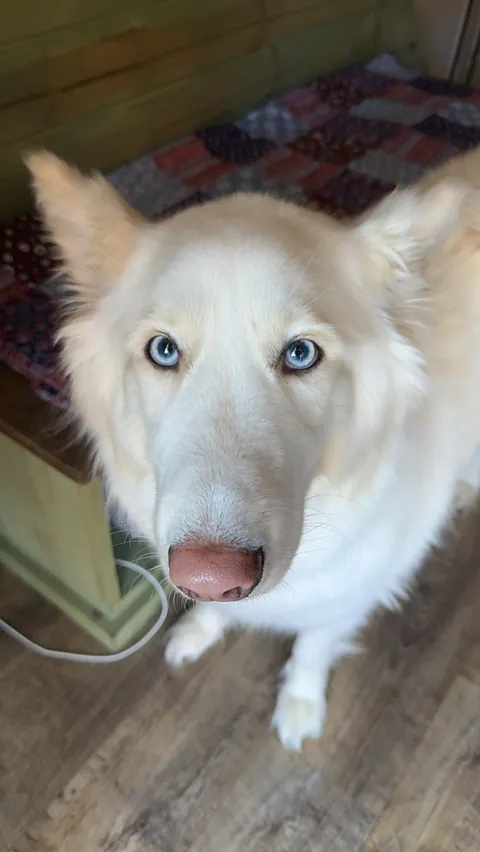 I promise she’s real!!