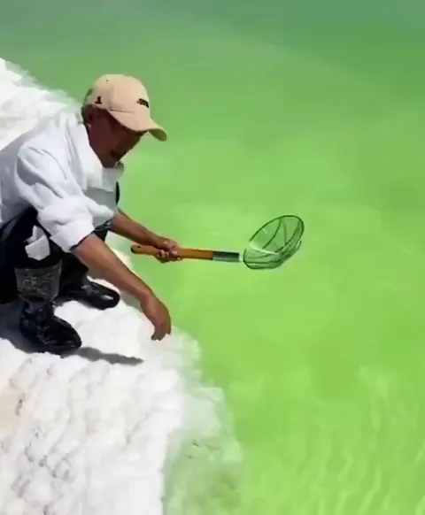 Salt concentration of the dead sea is constantly increasing and it now has reached 35%