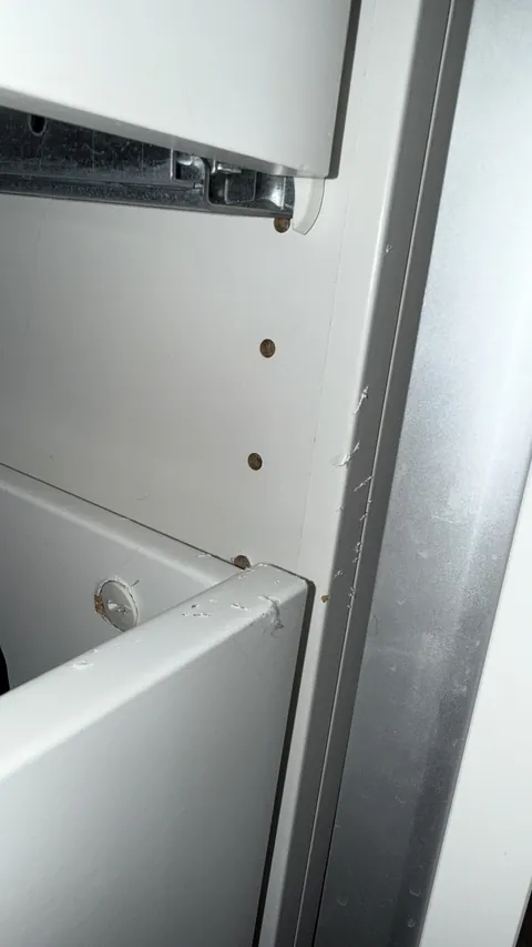 I left my cat in my IKEA drawer closet for almost 6 hours and feel so guilty.