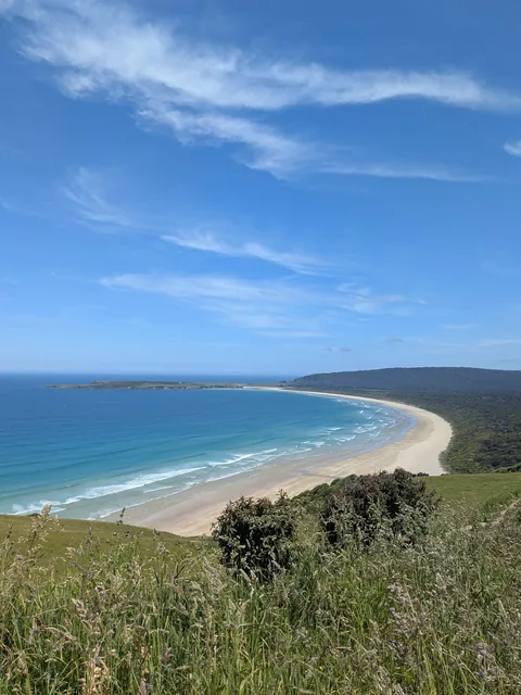 4.5 months in New Zealand