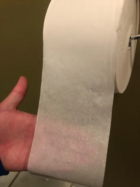My friends say it’s disturbing how I buy gas station toilet paper for my house
