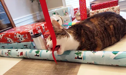 Gift wrap consultants. "We're here to help with the ribbon"