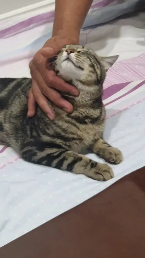 The love of our lives has been missing for 10 days now