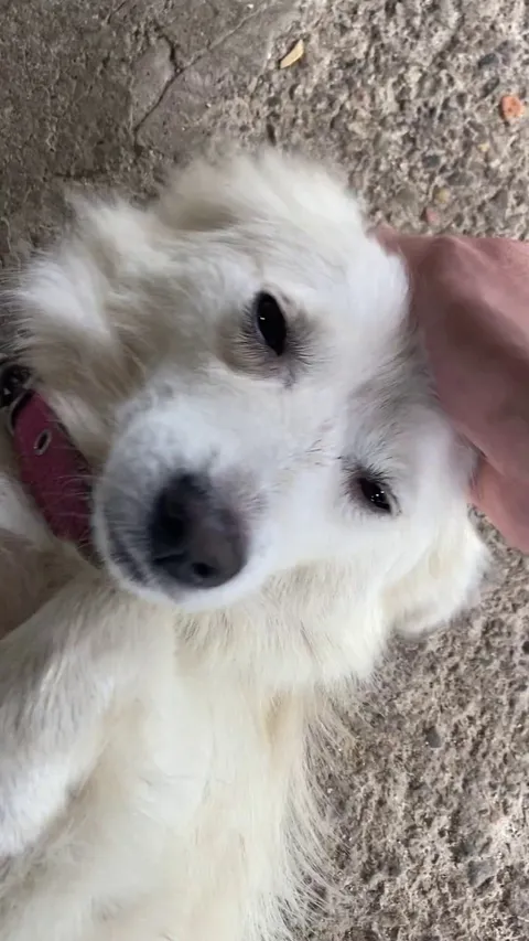 I knew there were babies somewhere!