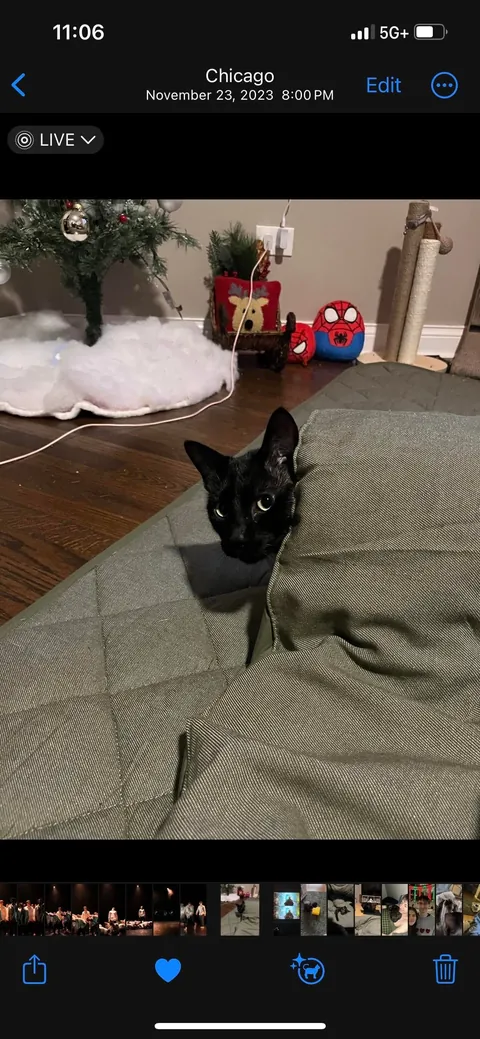 My dad saved him from being a killed