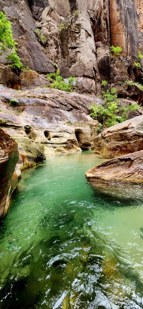 Zion Narrows Utah USA [OC] [1848x4000]