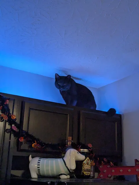 How do I stop him from doing this?