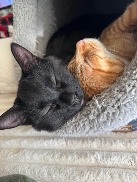 He’s just so pretty!