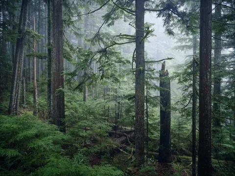 Vancouver's north shore, BC, Canada (OC)(1900x1425)