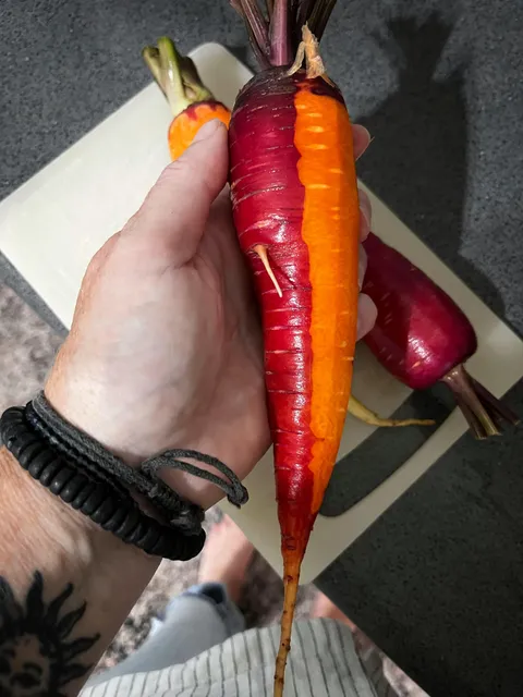 Apparently you can’t even trust carrots these days…