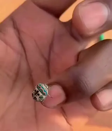 The Picasso bug, Africa’s living masterpiece.