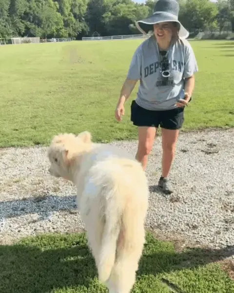Kicking off the zoomies