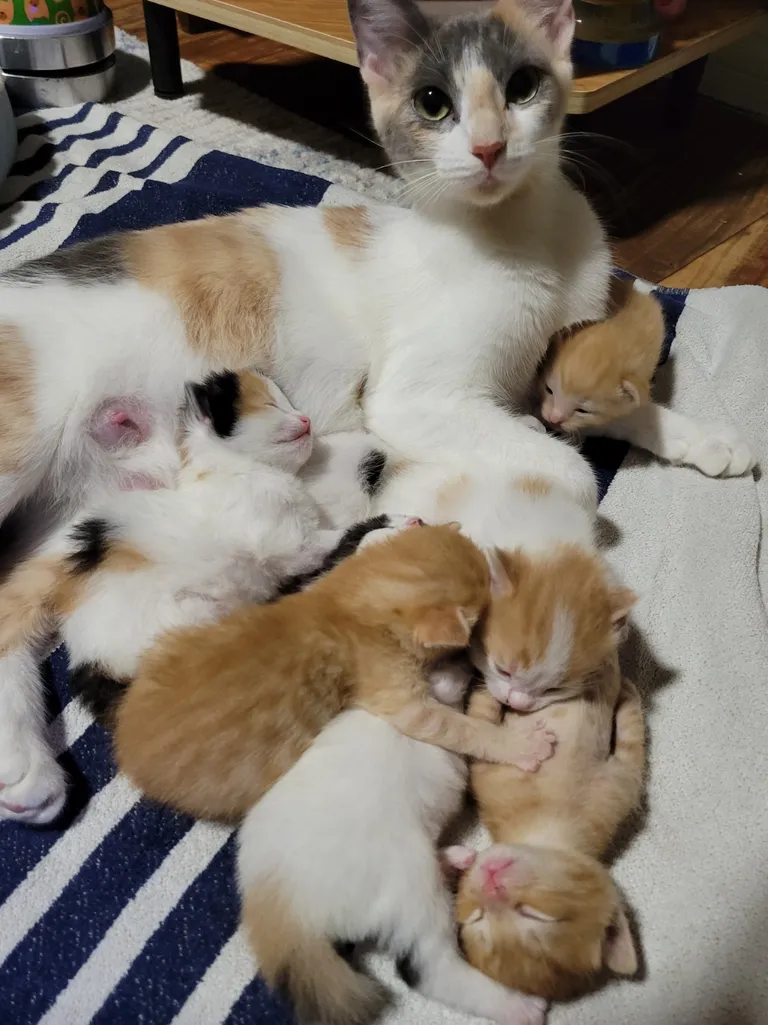 Thankful they all grew up healthy