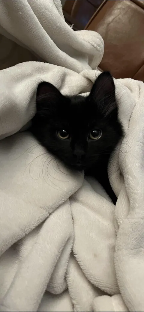 My sweet boy when he was a wittle baby 🥹