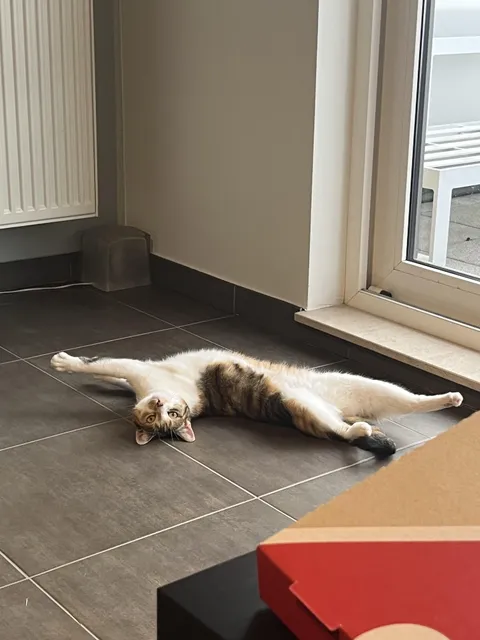 My girl inventing new stretches