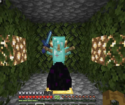 I have been playing Minecraft for over a decade. Today, I defeated the Enderdragon for the first time