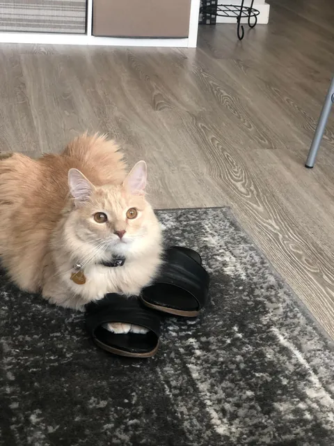 Gahwd I love him 💕