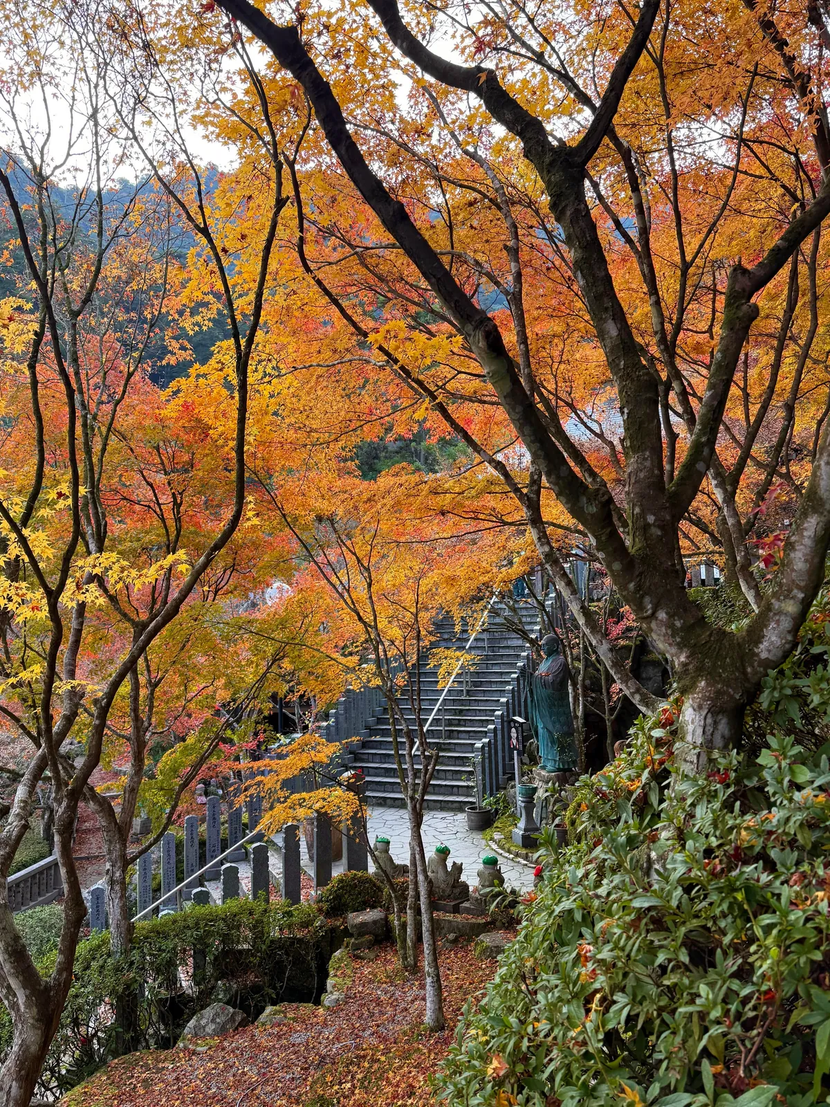 Japan in fall 🍁⛩️🚴‍♀️