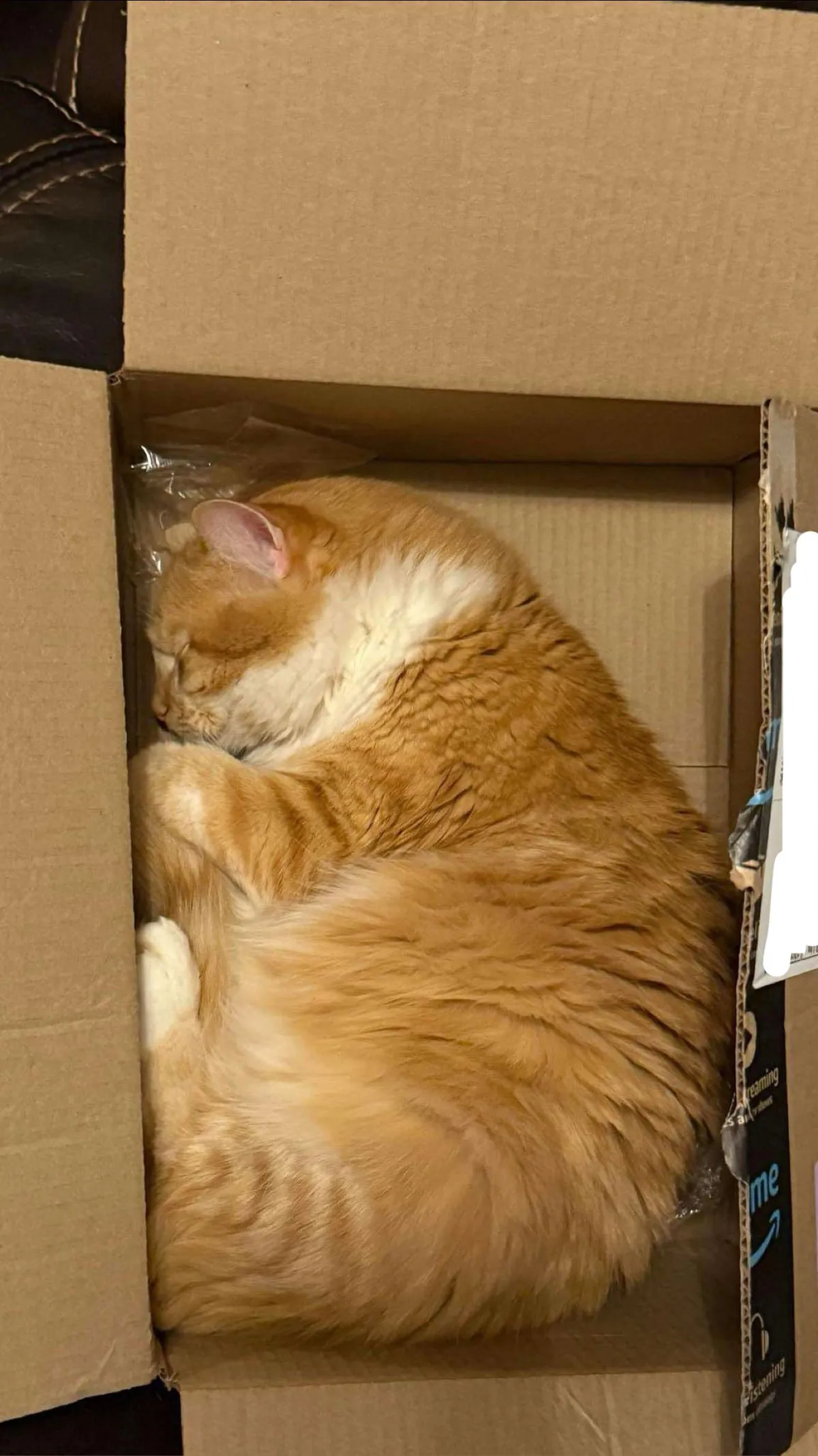 This isn’t what I ordered!!