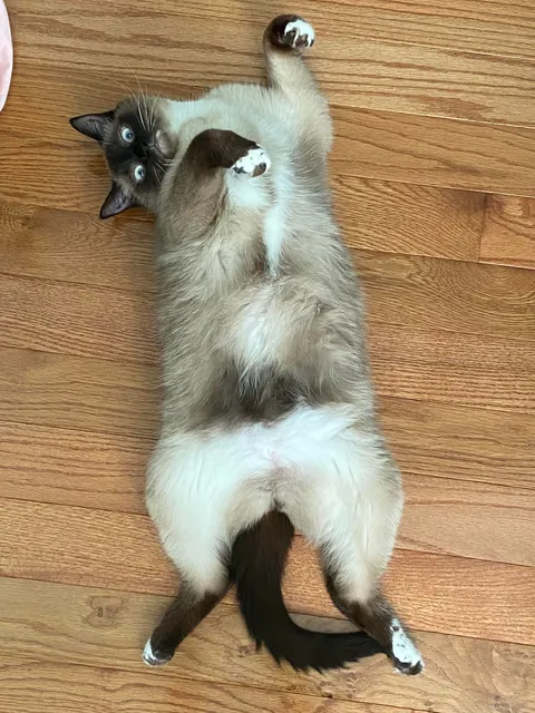 I didn’t know it would be our last day together