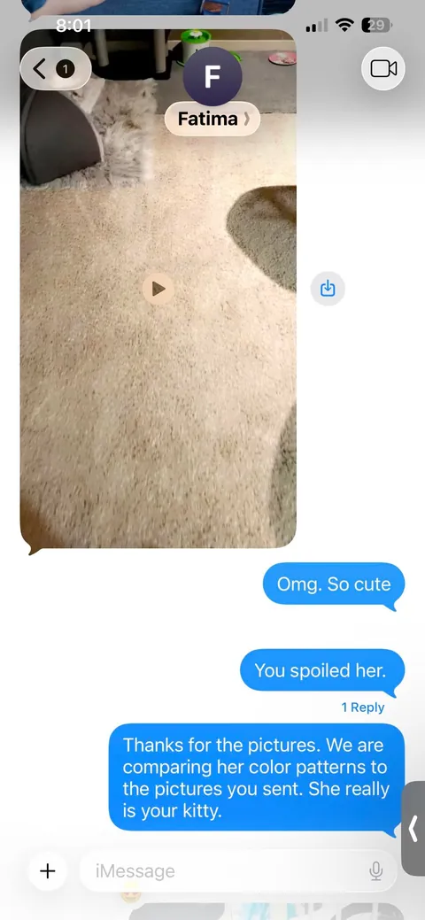 Update: I have the cat my student rehomed 3 years ago and thought had died.