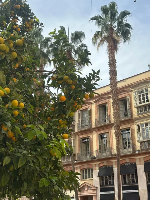 A trip to Andalucía