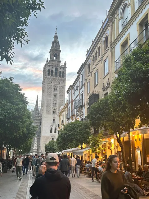 First time in Andalusia and fell in love !