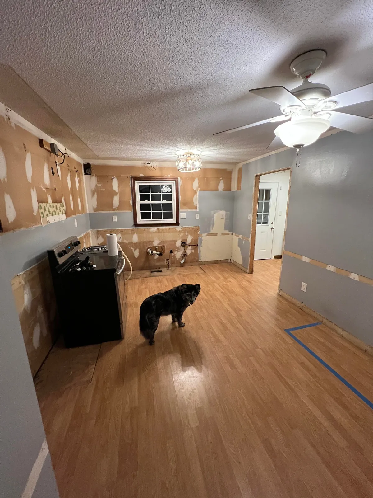 Full Kitchen Gut and Remodel in time for the Holidays. I'm tired. 