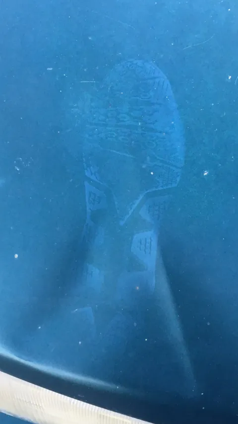 Someone ran over our car leaving dent on the hood and roof overnight. Anyone know what shoe this print belongs to?