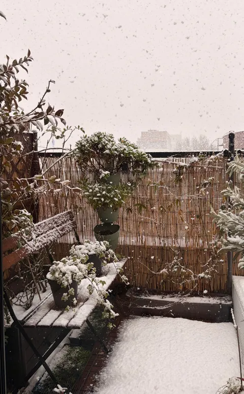 Our cozy 32m² studio apartment + tiny balcony in the Netherlands on a snowy day