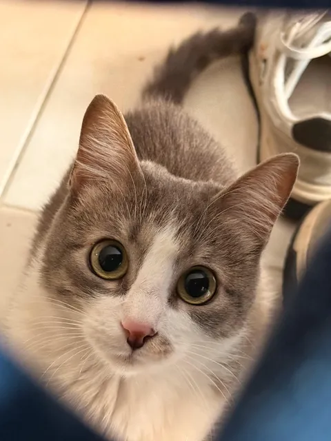 I thought I rescued her… but she ended up rescuing me