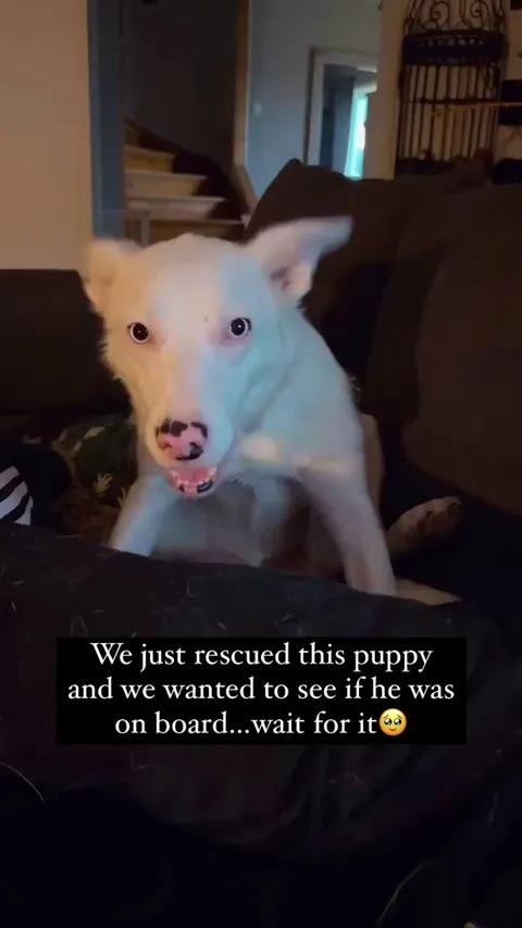 Two Factor Authorization Successful