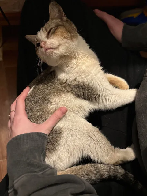 Found this girl shivering and unable to walk at a gas station 🥺