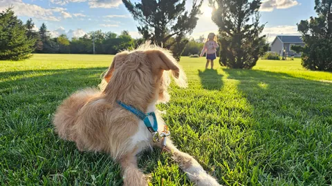 Our Skye puppers🥰