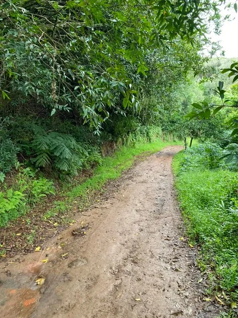 Visiting Pitcairn island