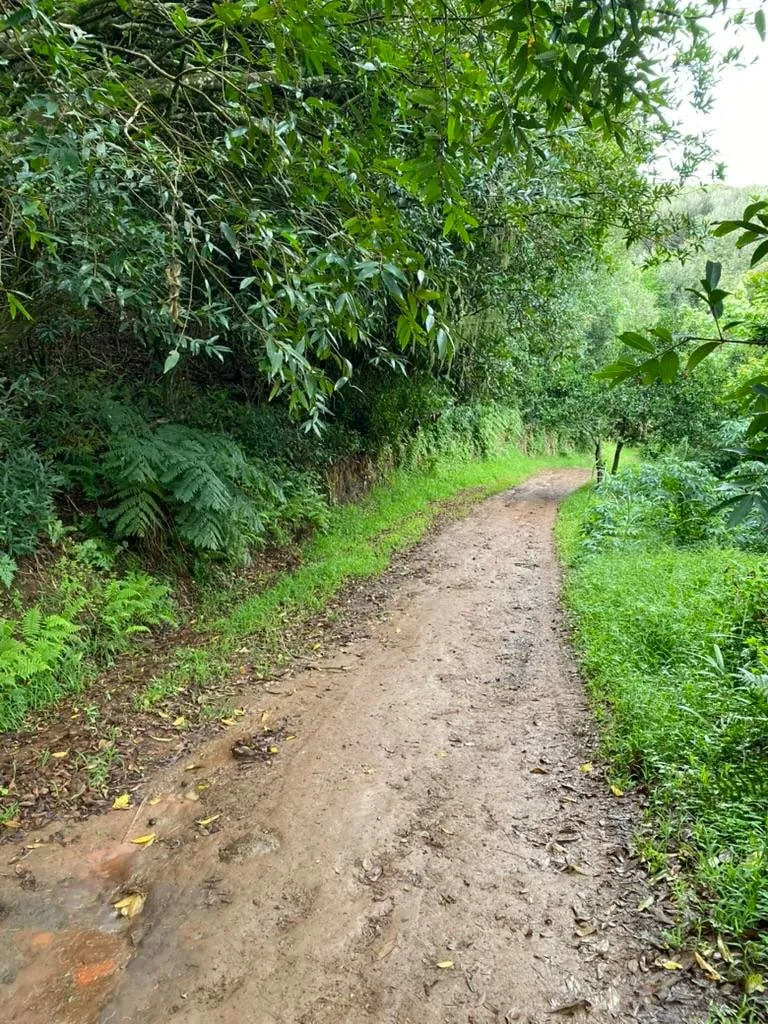 Visiting Pitcairn island