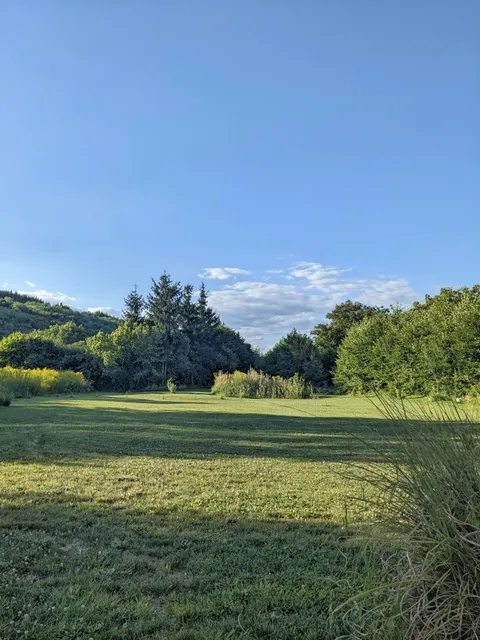 my garden where I love to relax 🏡🌲⛅