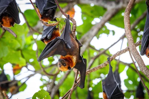 Two Weeks in Malaysia