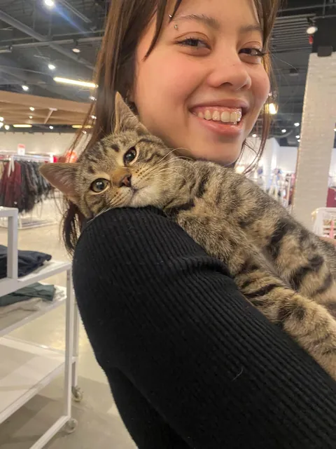 My friend works in a mall and she found this little baddie today under a bench.
