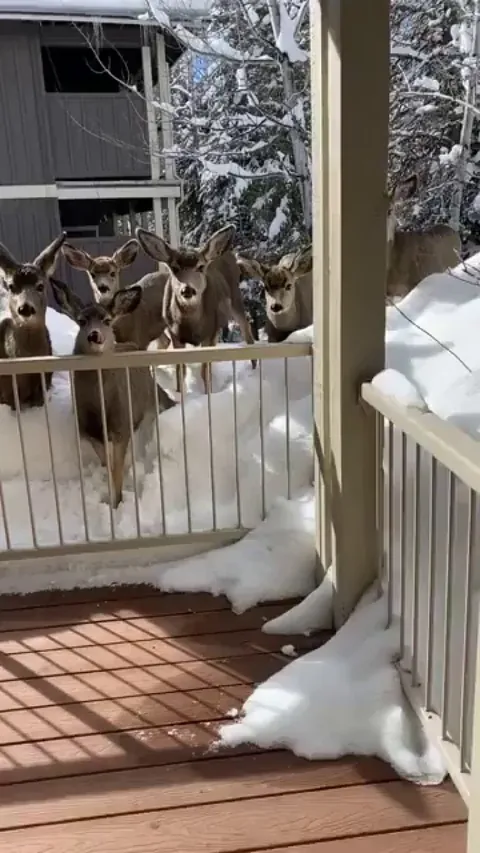 Imagine stepping outside your house &amp; this is your view